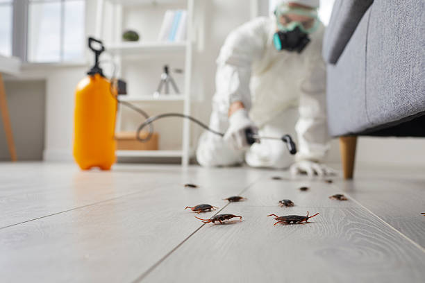 Commercial Kitchen Cockroach Control in Monterey Park